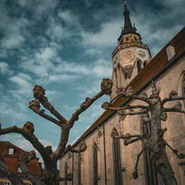 Stiftskirche am Holzmarkt, Tübingen